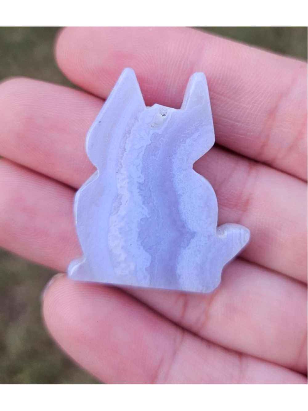 Mini blue lace cat 1 in